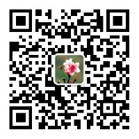 惠山区阳山镇人民政府新媒体账号